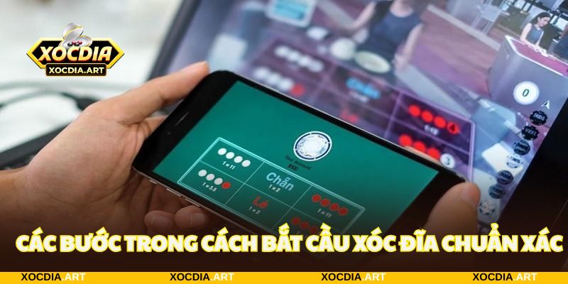Các bước thực hiện trong cách bắt cầu xóc đĩa