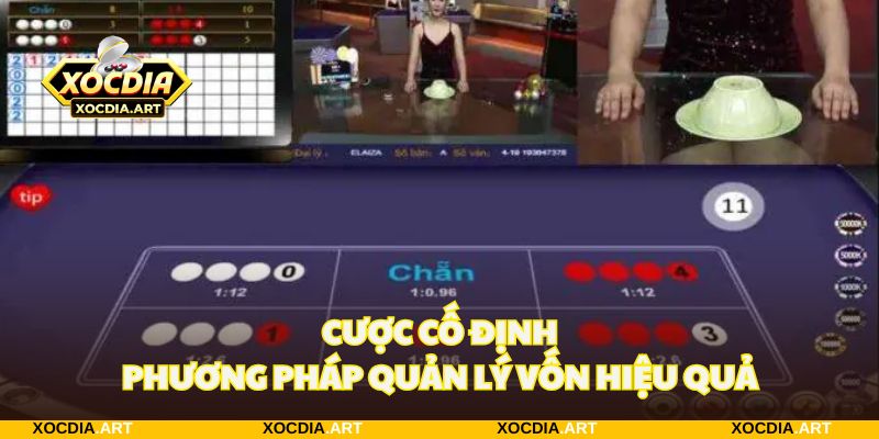 Đặt cược số dư cố định cho mọi ván game để quản lý tài chính