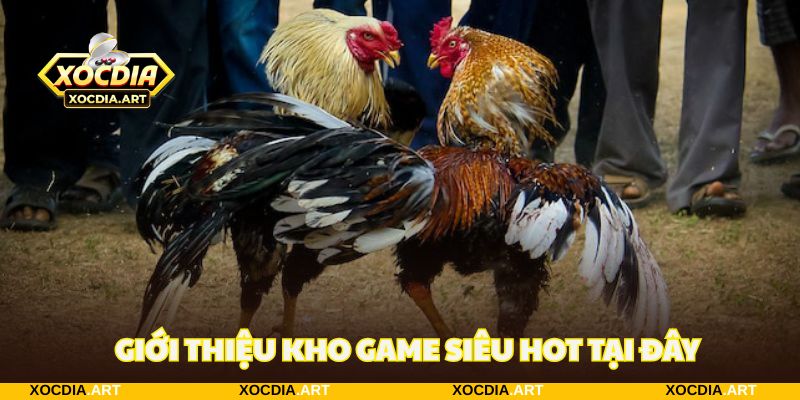 Vua88 - Trang chủ sảnh chơi xóc đĩa uy tín không thể bỏ qua 4 Giới thiệu kho game siêu đa dạng khi đến với nền tảng uy tín