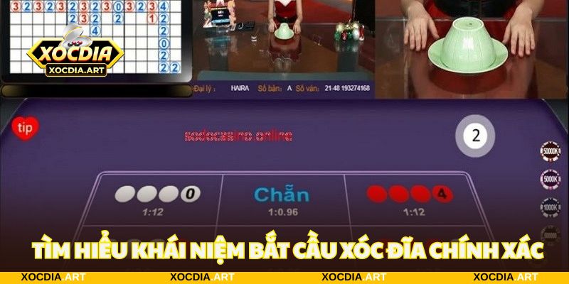 Tìm hiểu nhanh cách bắt cầu xóc đĩa chính xác 