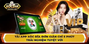 Tải app xóc đĩa đơn giản chỉ 5 phút - Trải nghiệm tuyệt vời