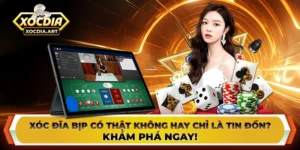 Xóc đĩa bịp có thật không hay chỉ là tin đồn? Khám phá ngay!
