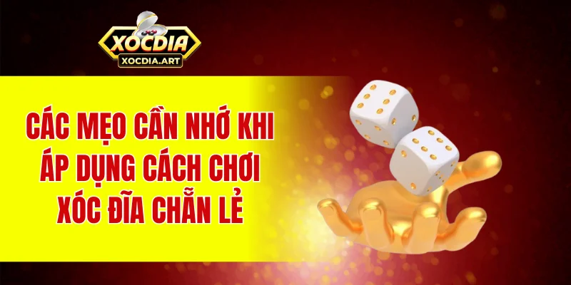 Các mẹo cần nhớ khi áp dụng cách chơi xóc đĩa chẵn lẻ