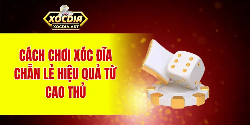 Cách chơi xóc đĩa chẵn lẻ hiệu quả từ cao thủ