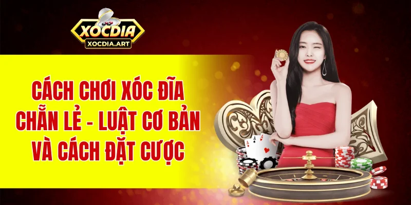 Cách chơi xóc đĩa chẵn lẻ – Luật cơ bản và cách đặt cược