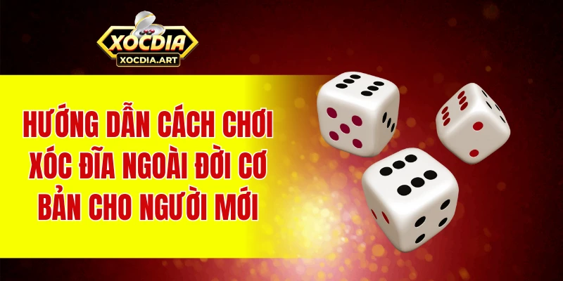 Hướng dẫn Cách chơi xóc đĩa ngoài đời cơ bản cho người mới